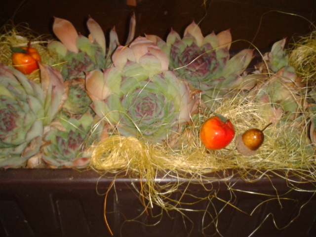 2015-09-30 16.33.45